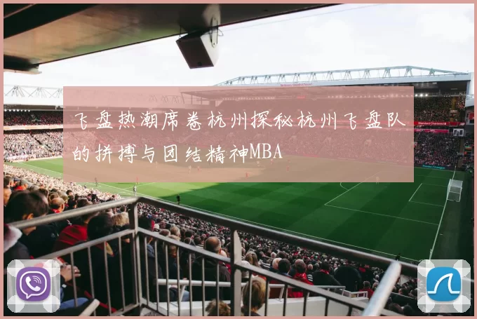 飞盘热潮席卷杭州探秘杭州飞盘队的拼搏与团结精神MBA