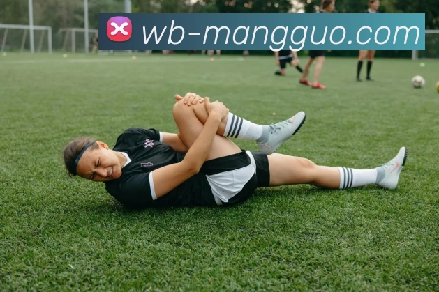 芒果体育平台生态图