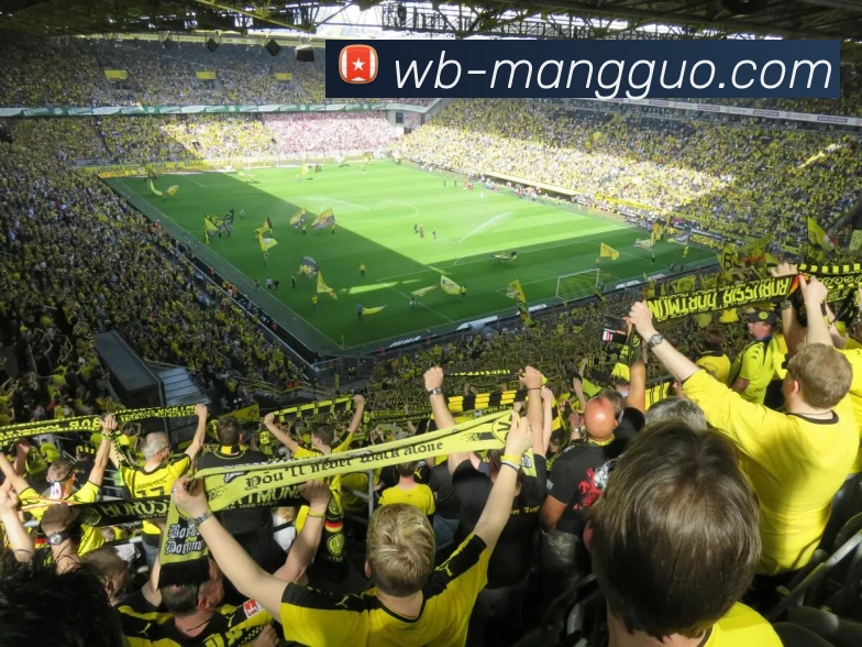 芒果体育APP 封面图