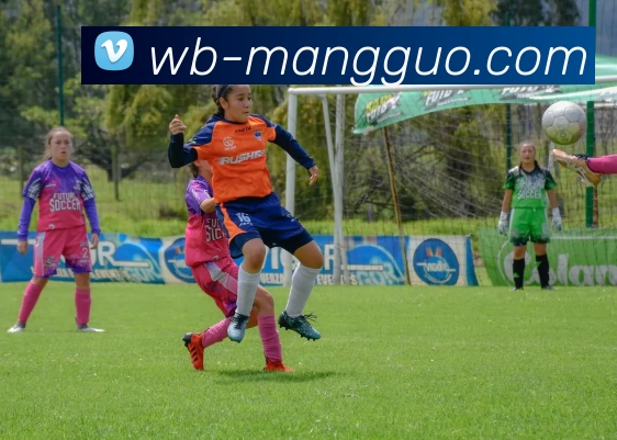 数据防护可视化